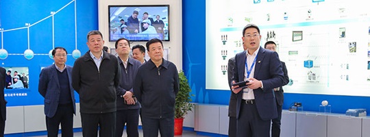 湖南省副省長陳飛一行蒞臨威勝電氣考察調研