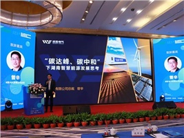 惟遠能源榮獲“十三五”新能源領軍企業，獻策“十四五”新能源產業發展