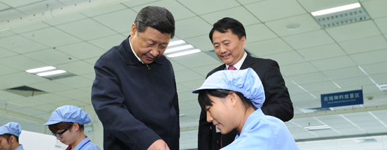 國(guó)家主席習(xí)近平視察威勝